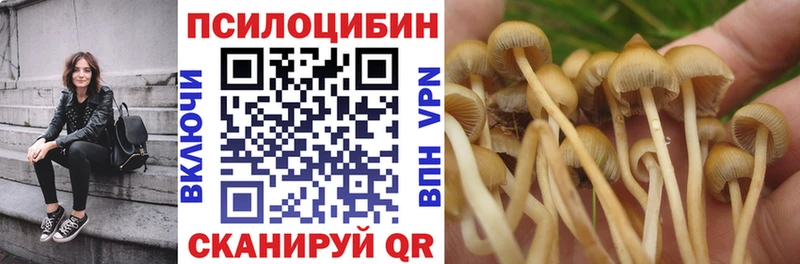 как найти закладки  Черногорск  Галлюциногенные грибы ЛСД 