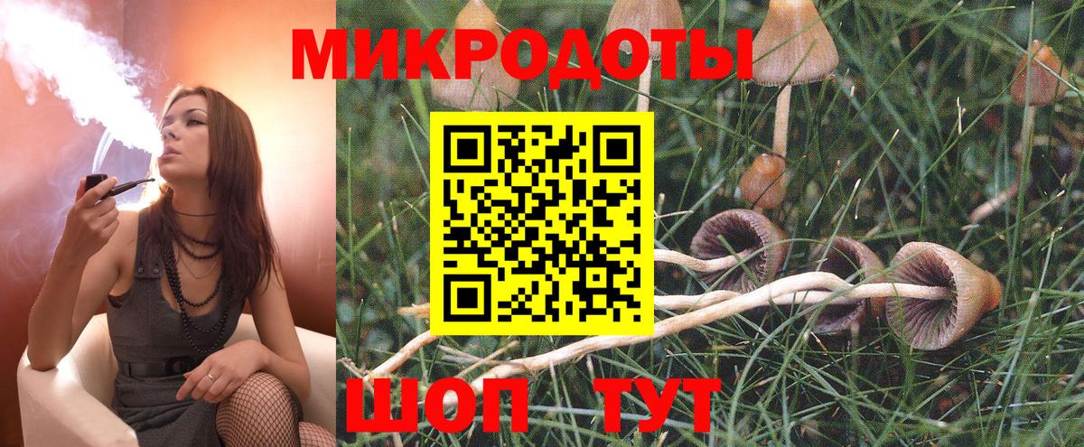 купить наркоту  Галлюциногенные грибы мухоморы  Вход с VPN  Черногорск 