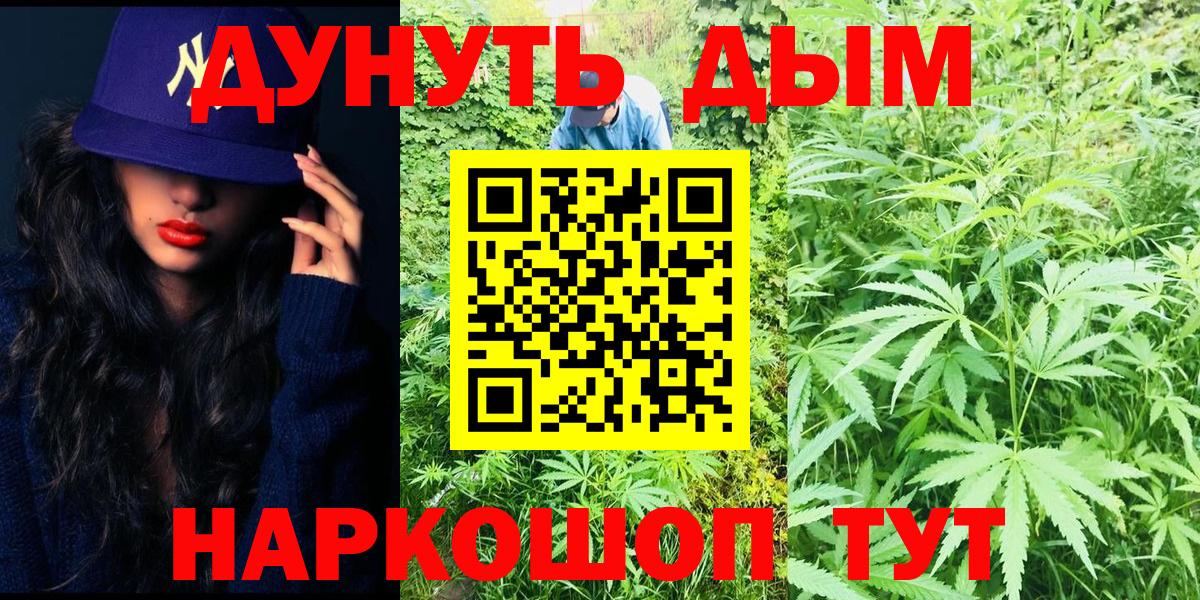 Бошки марихуана план  Канабис LSD WEED  Черногорск  Вход с VPN  Канабис семена 